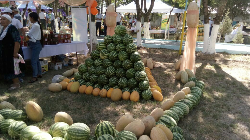 Melon Festival in Kazakhstan - Melon, Сельское хозяйство, Watermelon, Kazakhstan, Longpost