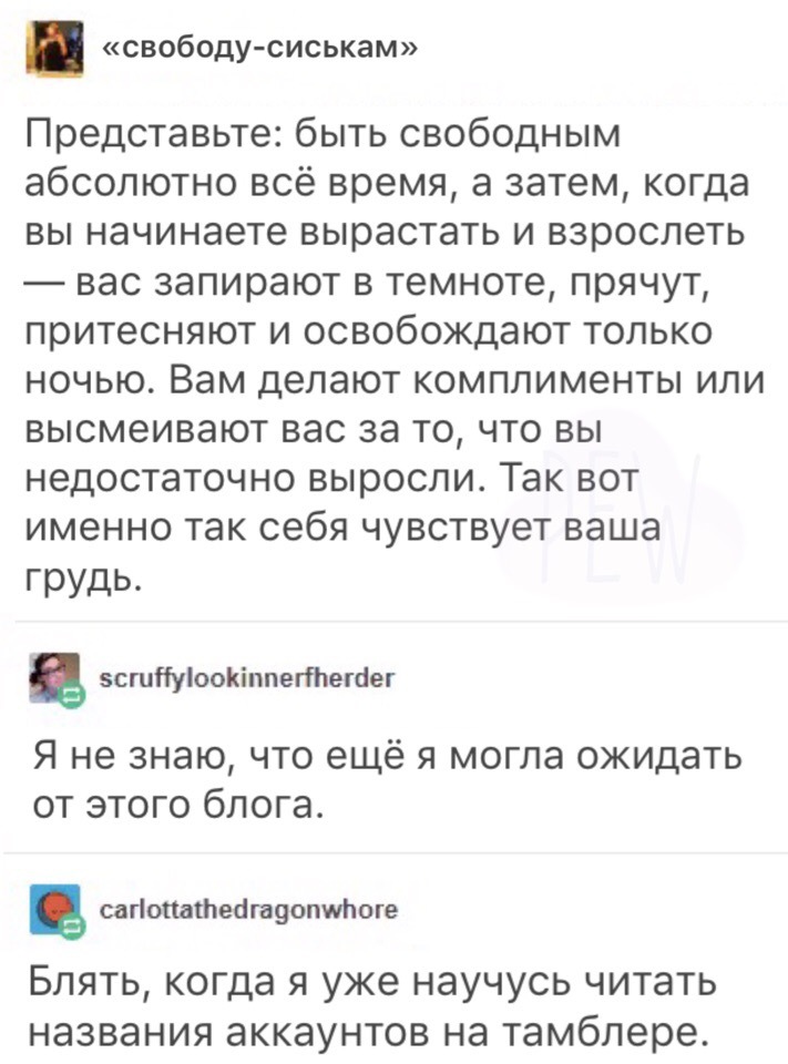 Их борьба - Tumblr, Названия аккаунтов, Борьба, Грудь, Дискриминация