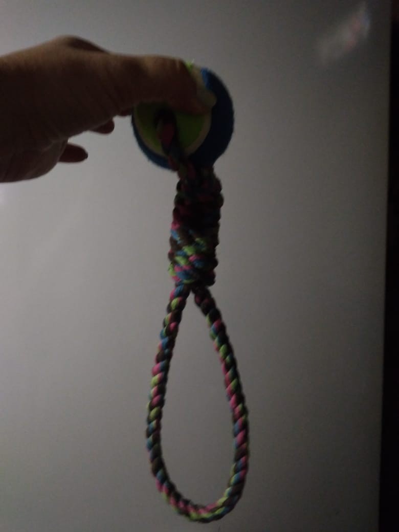 Just a dog toy - My, Toys for animals, Creative