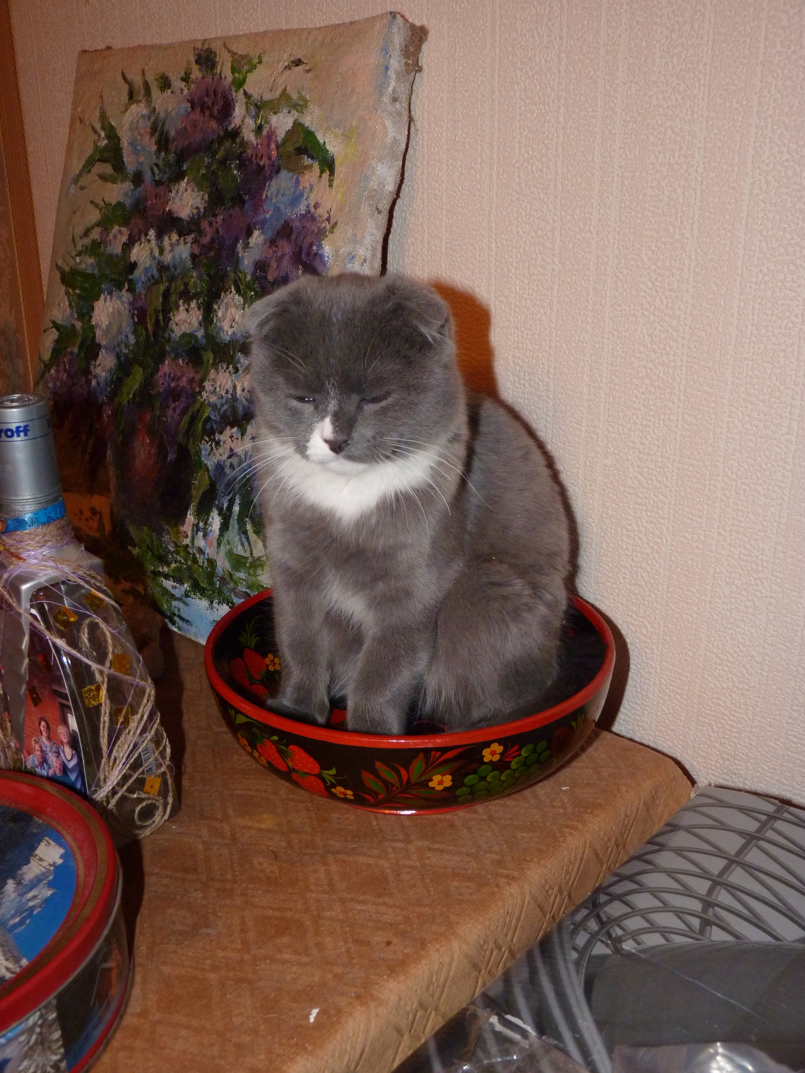 Cats... Boxes... The bowl is our everything - My, cat, Bowl, Longpost