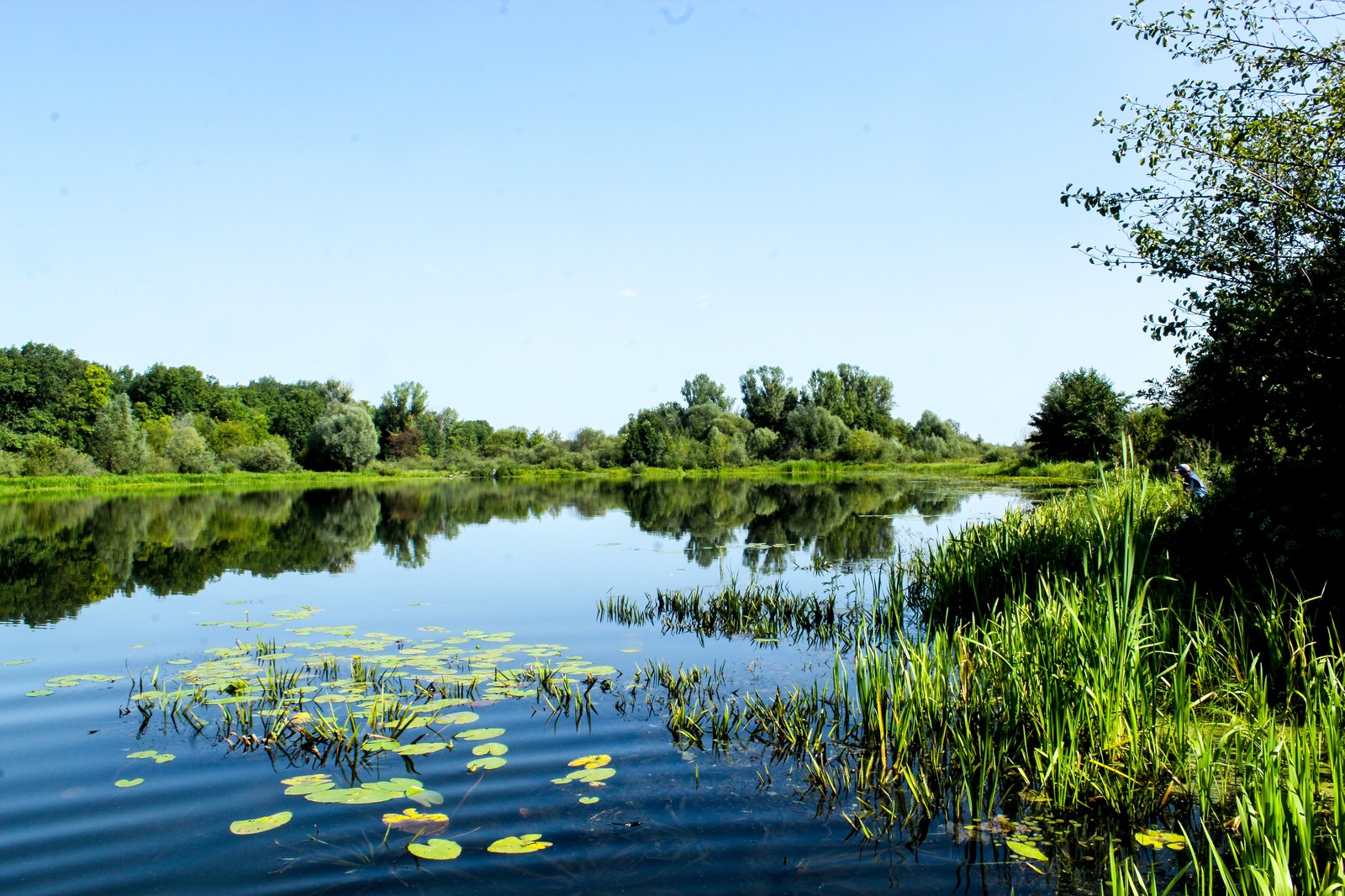 Bike ride - My, Longpost, Nature, The photo, Dzerzhinsk, Canon 1300d, Bike ride