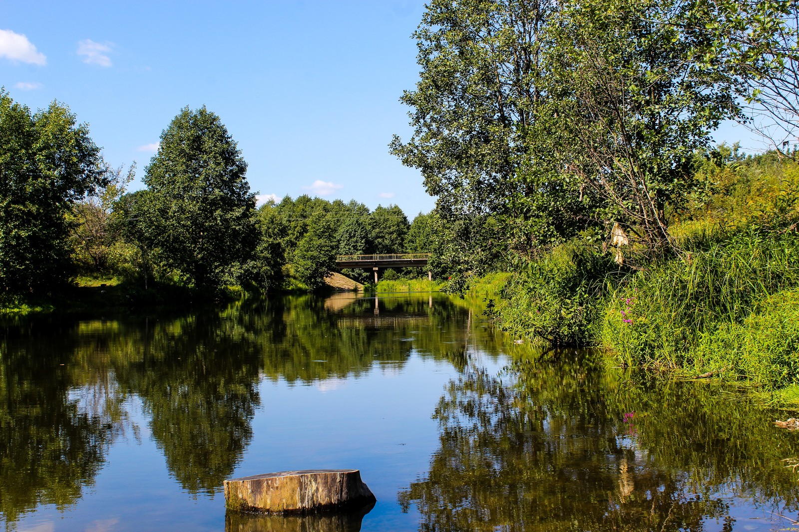 Bike ride - My, Longpost, Nature, The photo, Dzerzhinsk, Canon 1300d, Bike ride