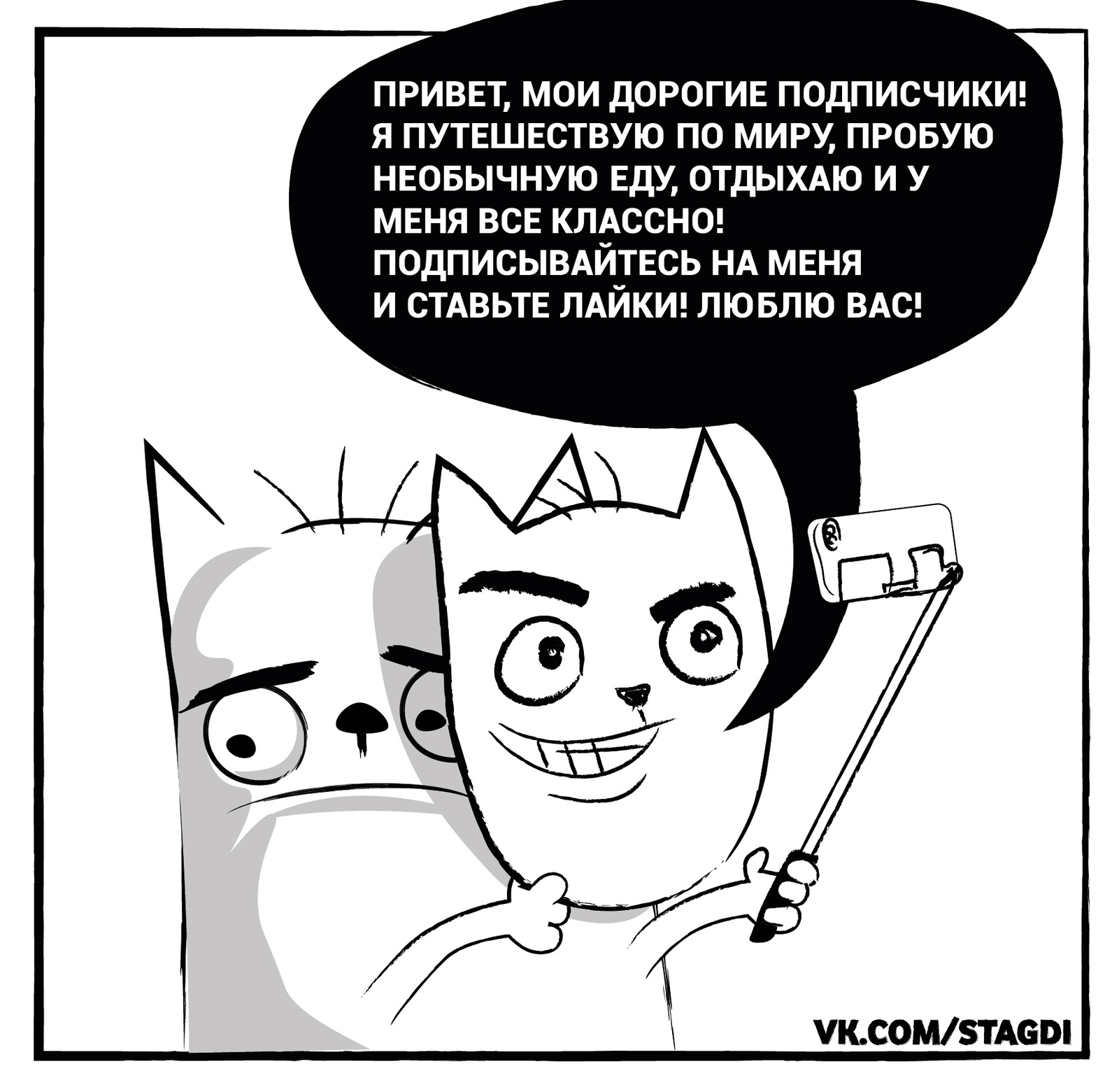 The whole point of social media - Comics, cat, A life, Illusion, Truth, Vital, Stagdi, 