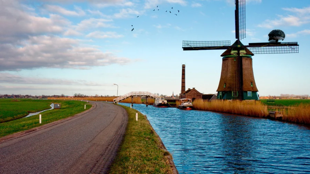 Mill near the river in the Netherlands. - Netherlands, Landscape, The photo, Netherlands (Holland)