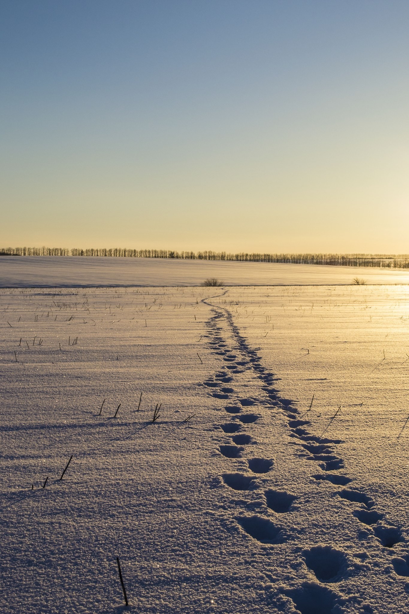 Path - My, Landscape, Road, Winter, Summer, Longpost