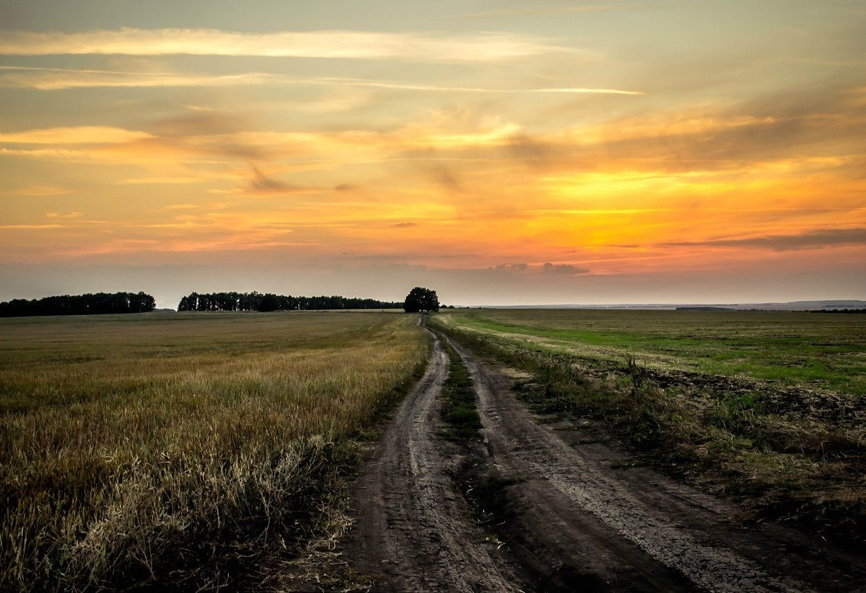 Path - My, Landscape, Road, Winter, Summer, Longpost