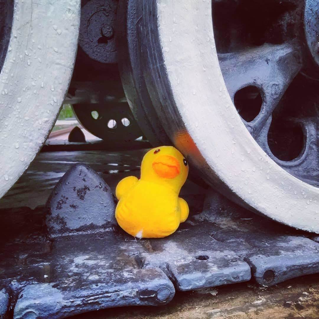 Tank with a surprise - My, The photo, Tanks, Rain, Shelter, Milota, Quack quack, Positive, Vladivostok, Longpost