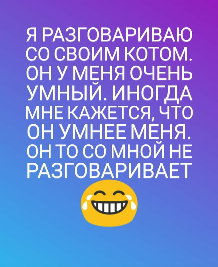 Ну что он дурак что-ли - Кот, Картинка с текстом