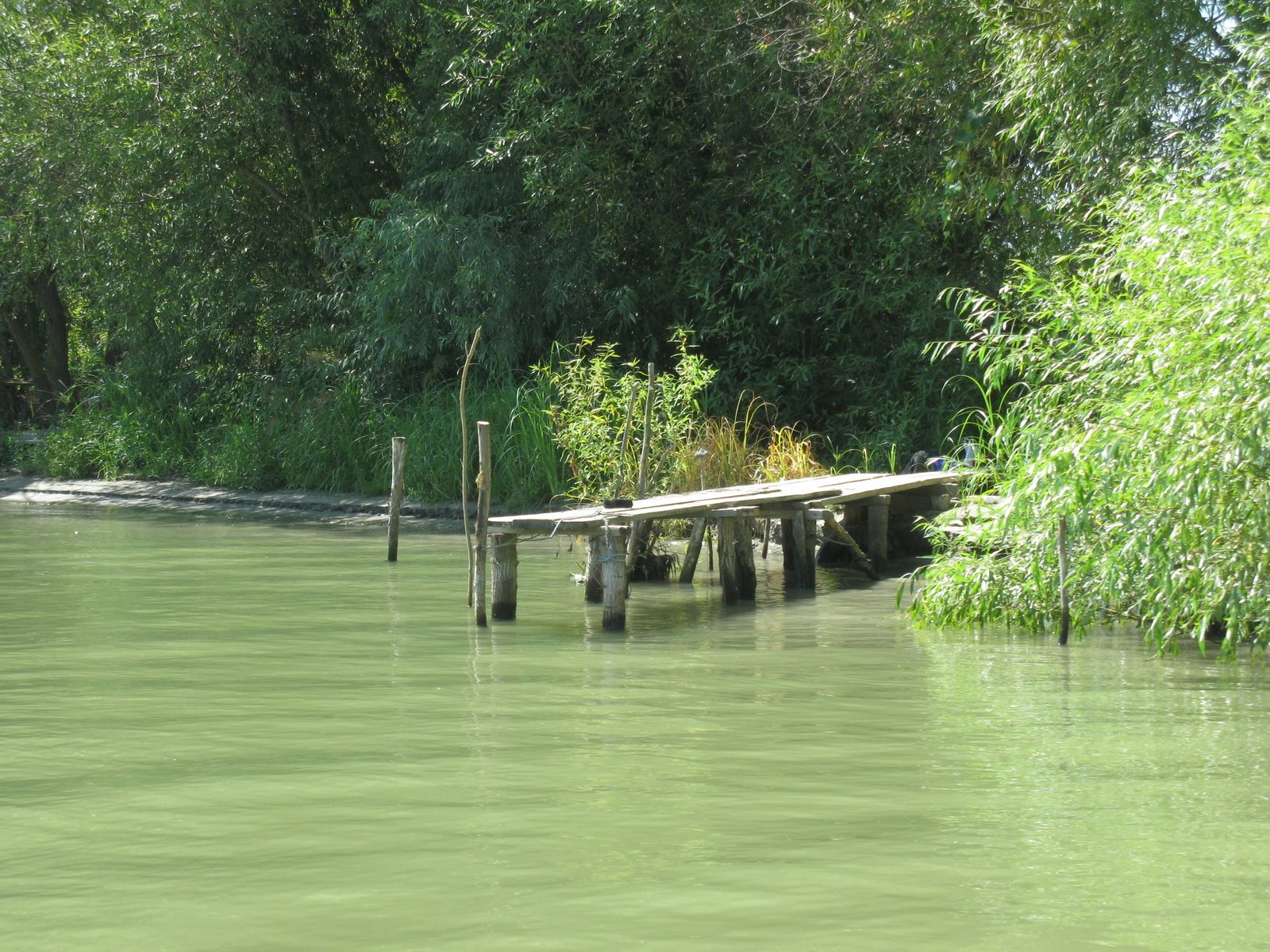 Enchanting Vilkovo - My, , , Danube, Lipovane, beauty of nature, Longpost