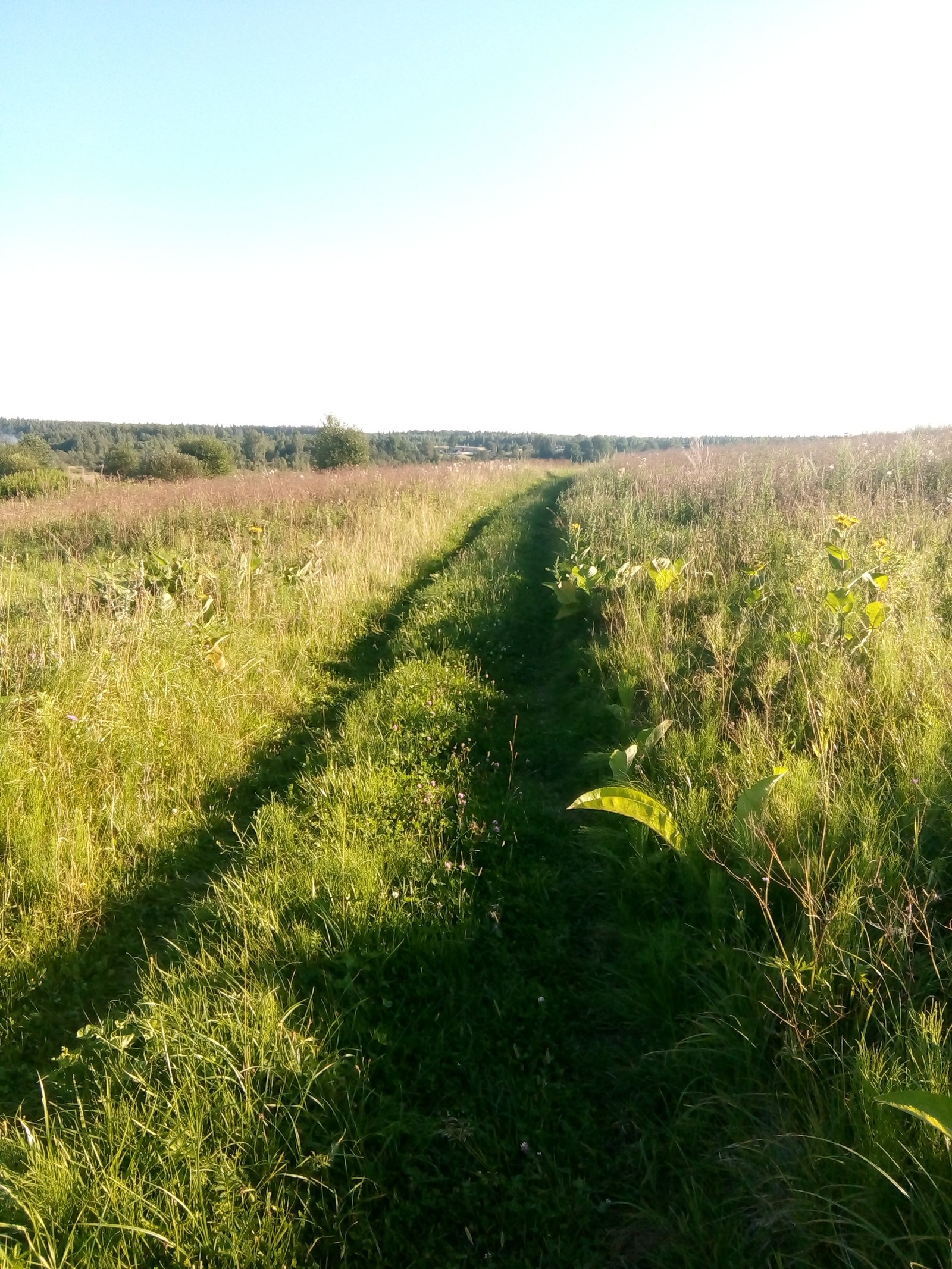 Summer in the countryside - Summer, Village, Russia, Childhood, Nostalgia, It was, Holidays, The sun, Longpost