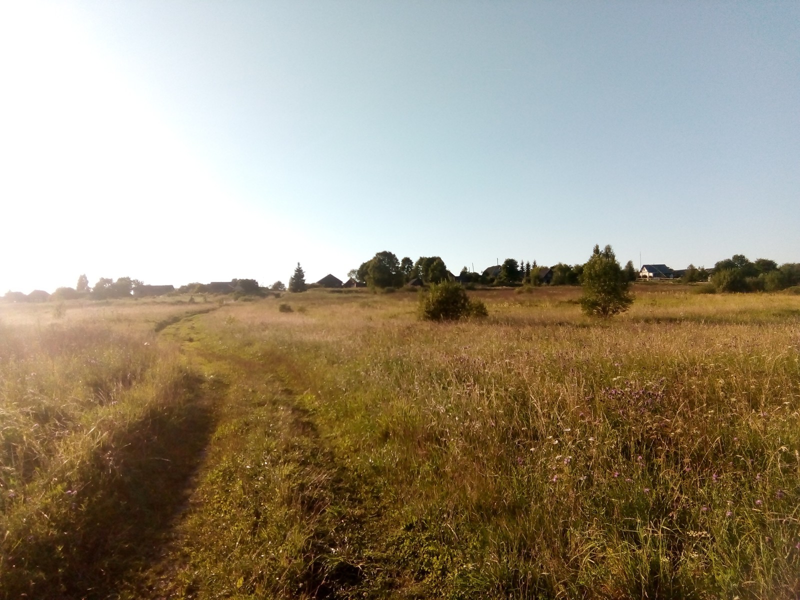 Summer in the countryside - Summer, Village, Russia, Childhood, Nostalgia, It was, Holidays, The sun, Longpost