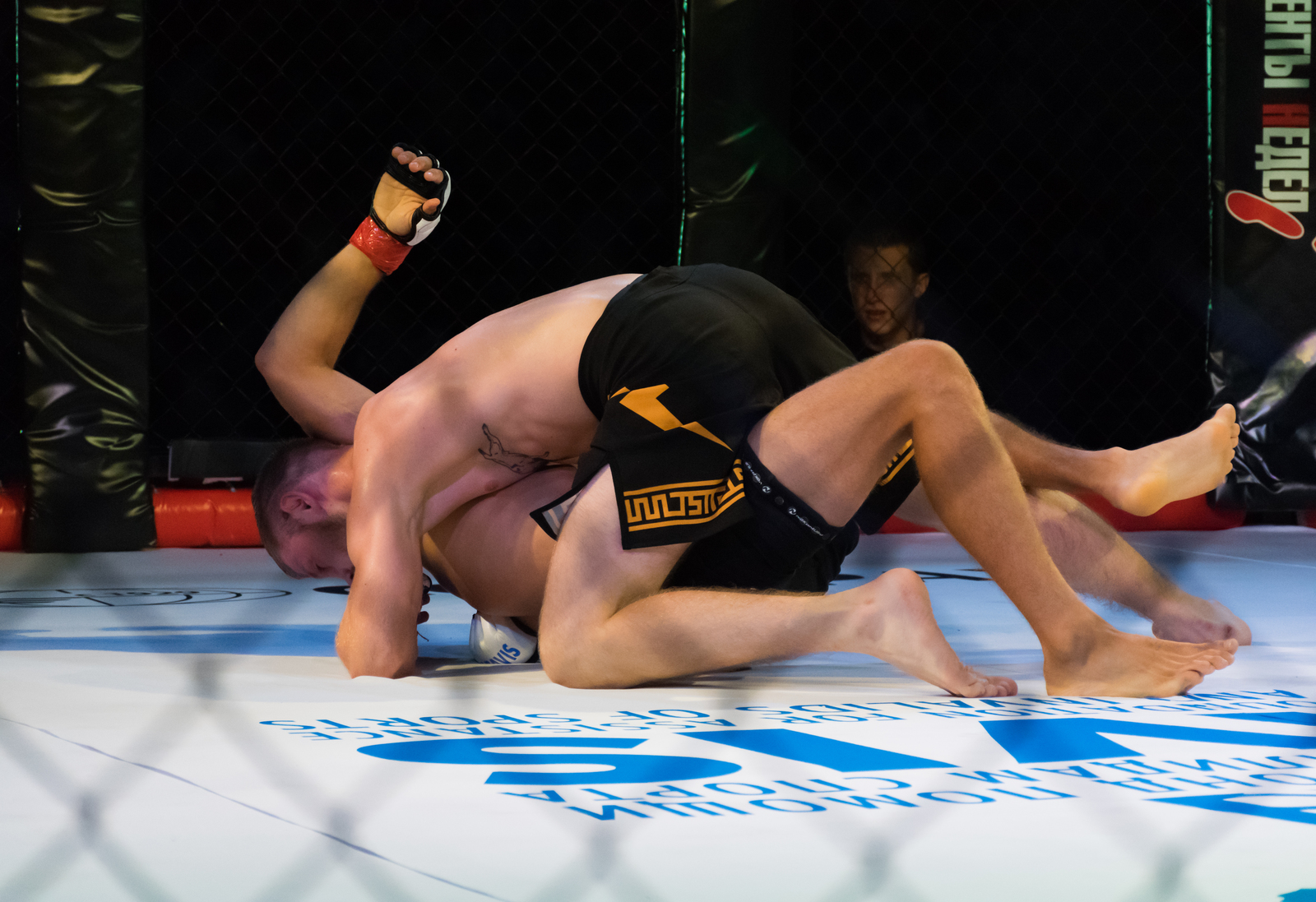 MMA - My, Beginning photographer, The photo, Photographer, Reportage, Sport, , MMA, Yalta, Longpost