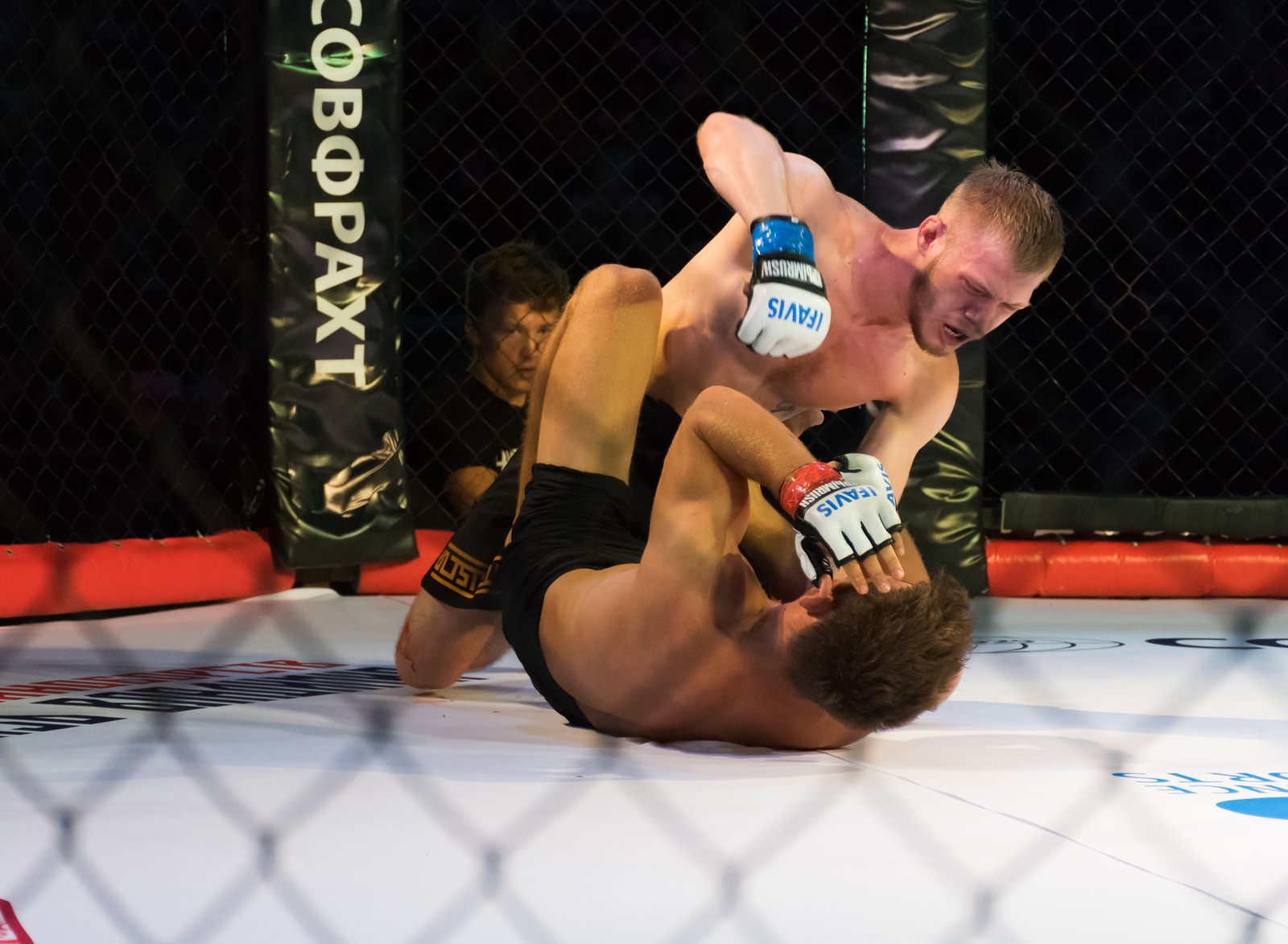 MMA - My, Beginning photographer, The photo, Photographer, Reportage, Sport, , MMA, Yalta, Longpost