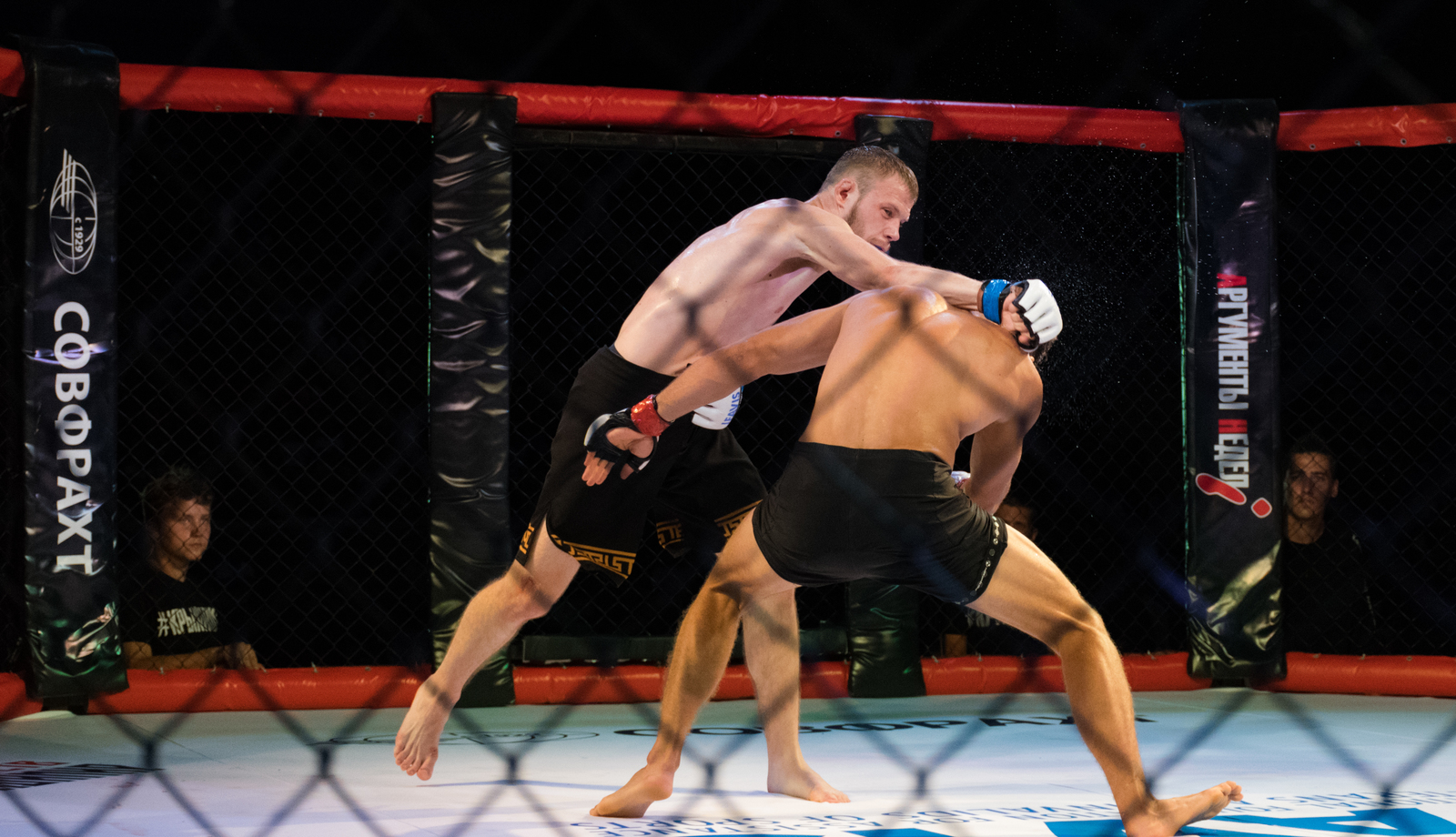 MMA - My, Beginning photographer, The photo, Photographer, Reportage, Sport, , MMA, Yalta, Longpost