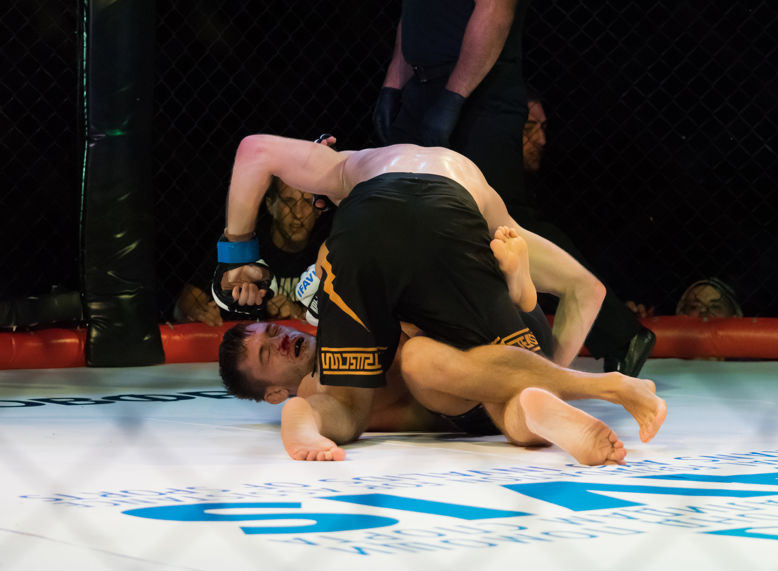 MMA - My, Beginning photographer, The photo, Photographer, Reportage, Sport, , MMA, Yalta, Longpost