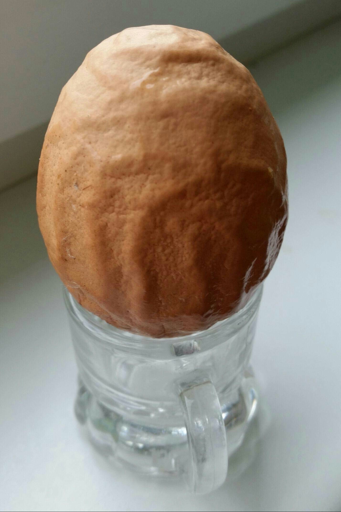 Are those veins on the egg? - My, Eggs, Amazing