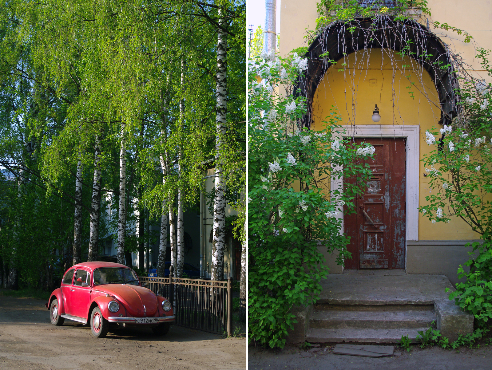 An area surrounded by greenery. - My, The photo, Saint Petersburg, Black River, Cityscapes, Courtyard, Evening, Summer, Cosiness, Longpost, Street photography