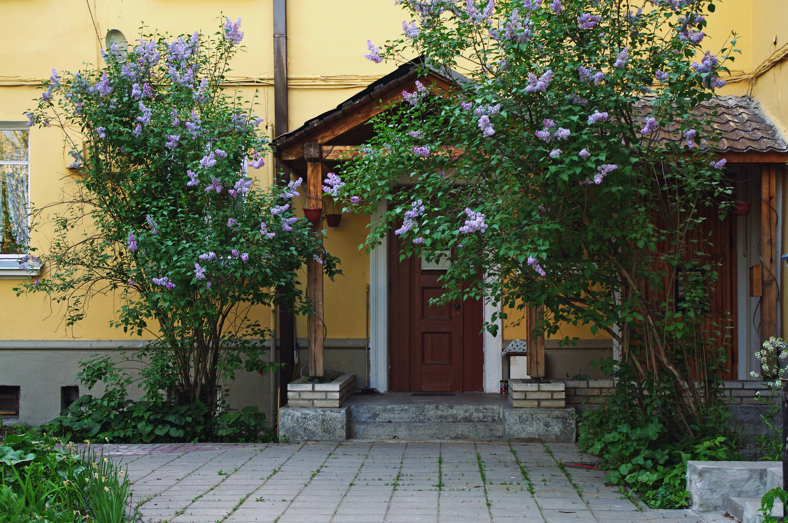 An area surrounded by greenery. - My, The photo, Saint Petersburg, Black River, Cityscapes, Courtyard, Evening, Summer, Cosiness, Longpost, Street photography