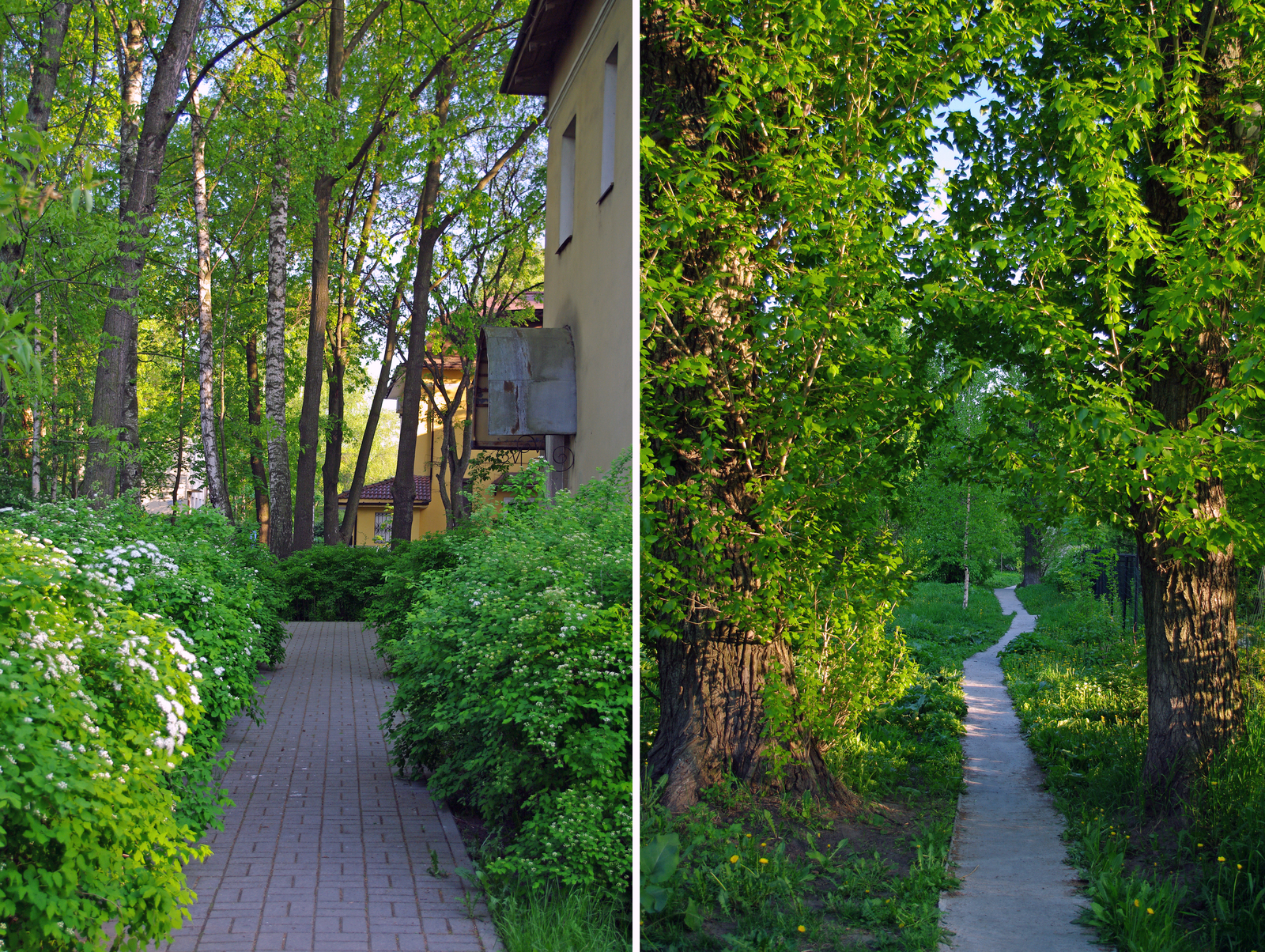 An area surrounded by greenery. - My, The photo, Saint Petersburg, Black River, Cityscapes, Courtyard, Evening, Summer, Cosiness, Longpost, Street photography