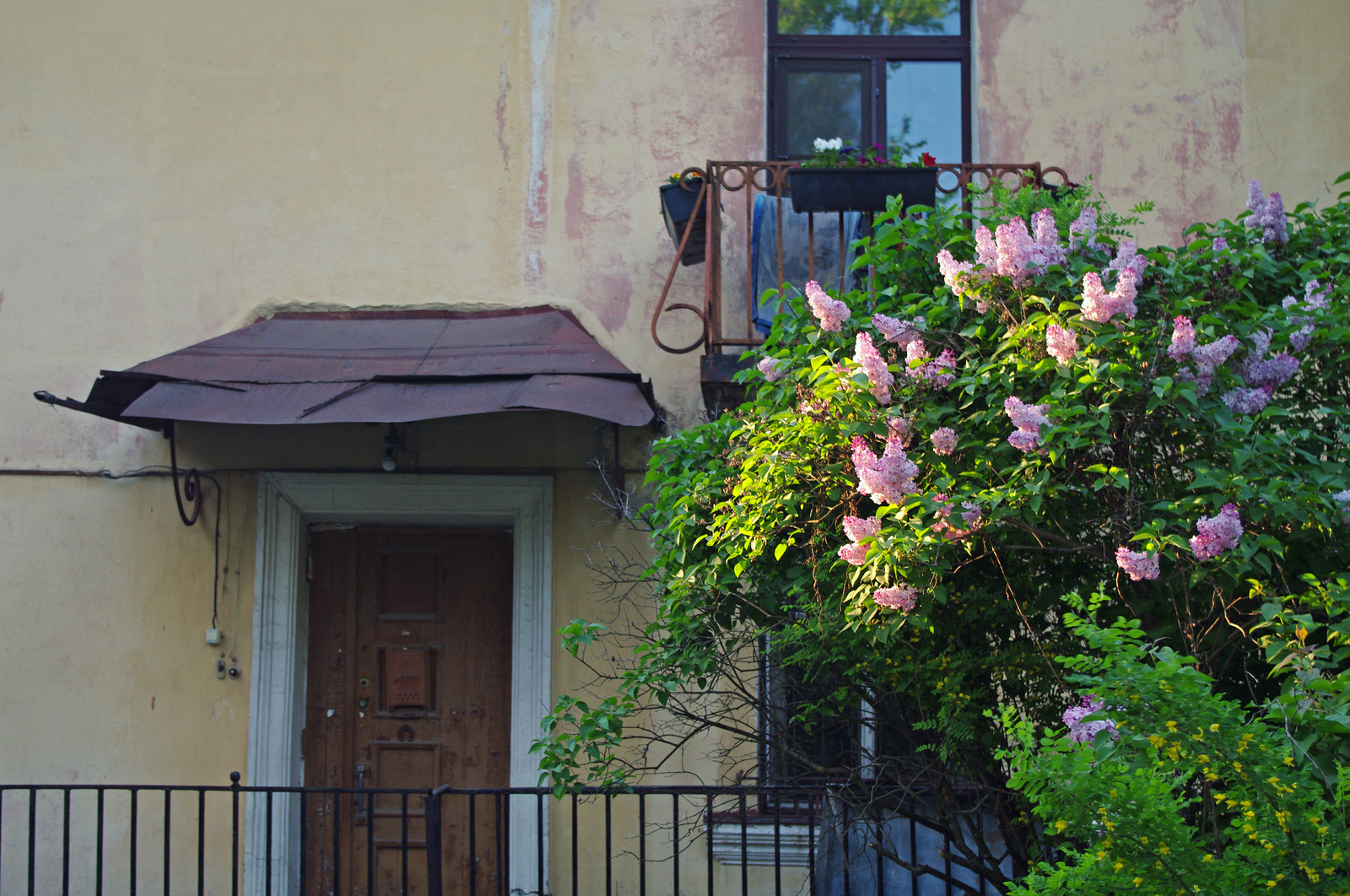 An area surrounded by greenery. - My, The photo, Saint Petersburg, Black River, Cityscapes, Courtyard, Evening, Summer, Cosiness, Longpost, Street photography