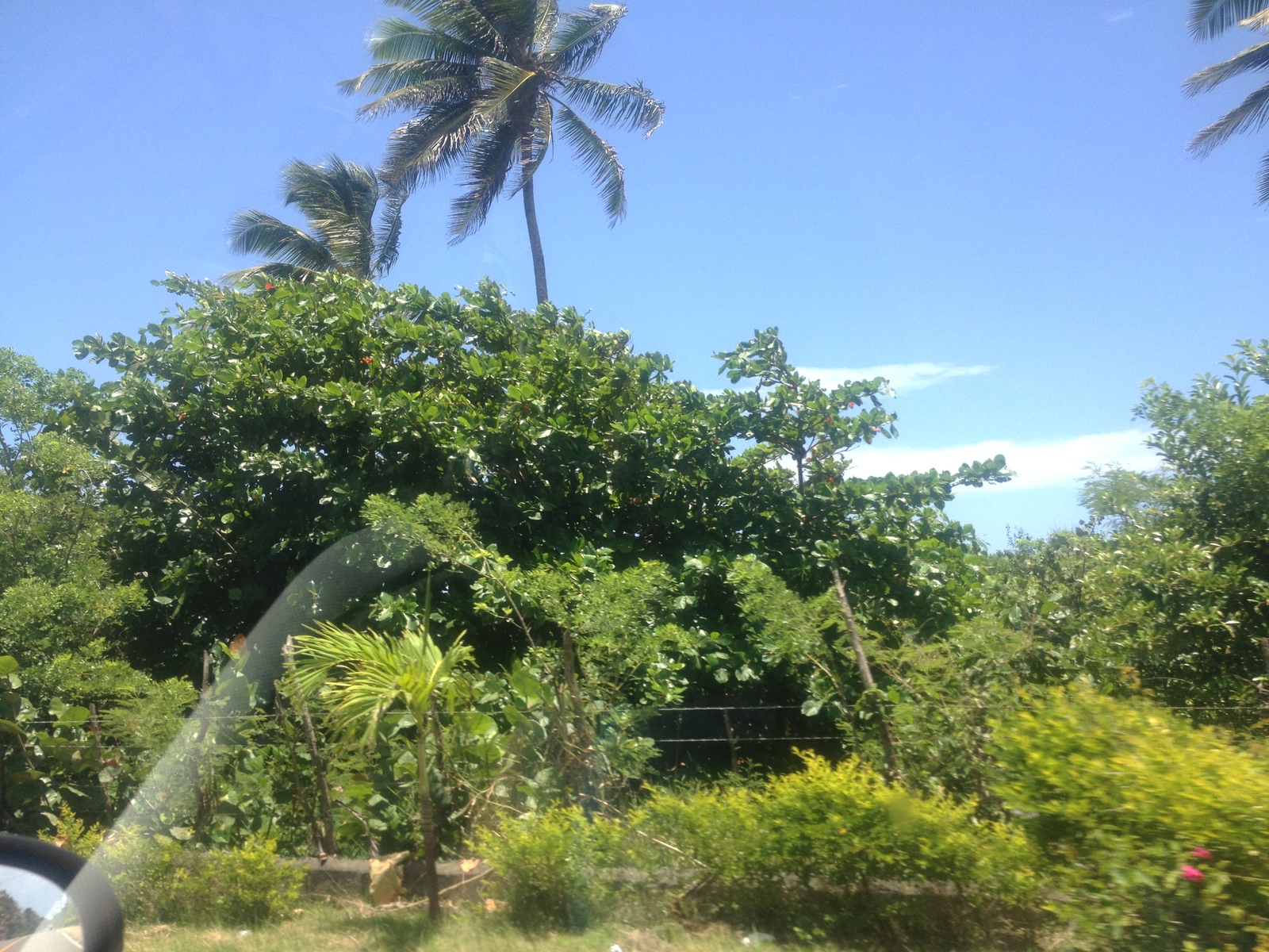 How I bought a plot in the Dominican Republic. - Dominican Republic, Travels, , Longpost