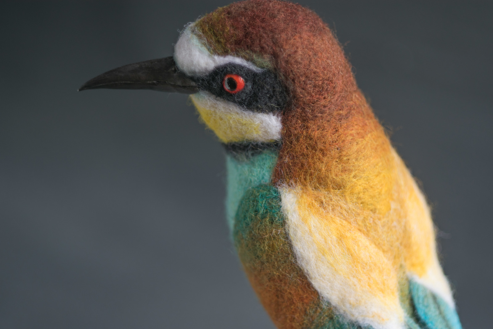 Felted bee-eater. With a brief description of the creation process - My, Needlework with process, Dry felting, Szczurka, , Wallow, Longpost