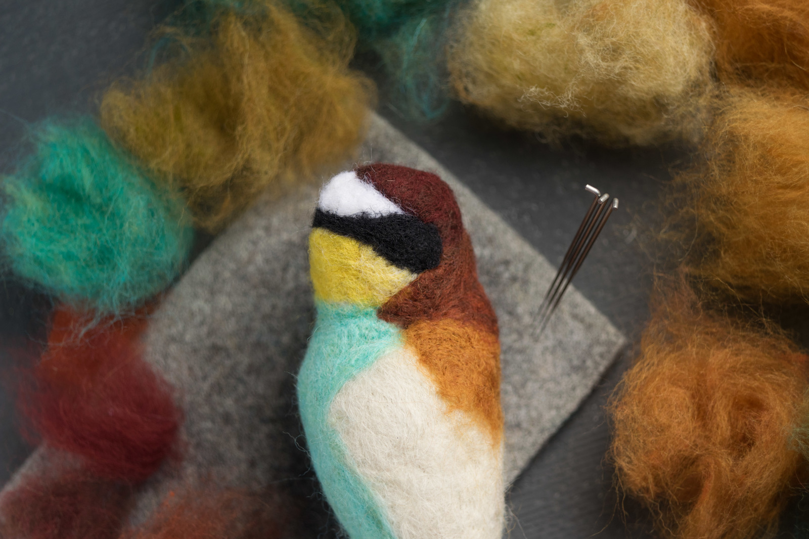 Felted bee-eater. With a brief description of the creation process - My, Needlework with process, Dry felting, Szczurka, , Wallow, Longpost