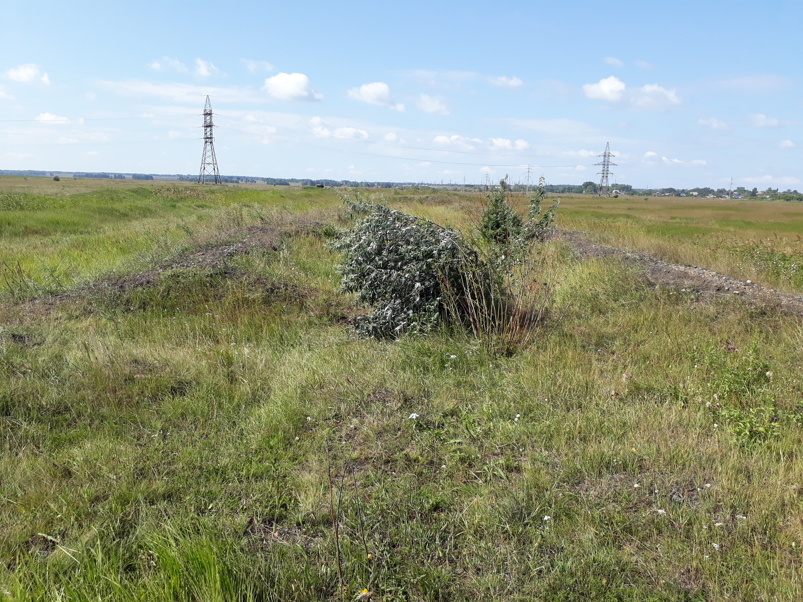 Railway Tayanda - Yemanzhelinsk - Korkino, which does not exist - My, , Railway, Station, Emanzhelinsk, Korkino, , Longpost