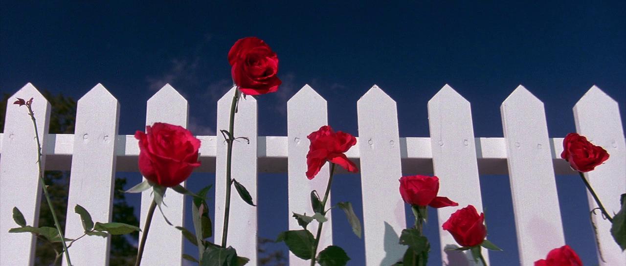 David Lynch film Blue Velvet. - My, , David lynch, Kyle MacLachlan, Isabella Rossellini, Dennis Hopper, , Longpost, Video