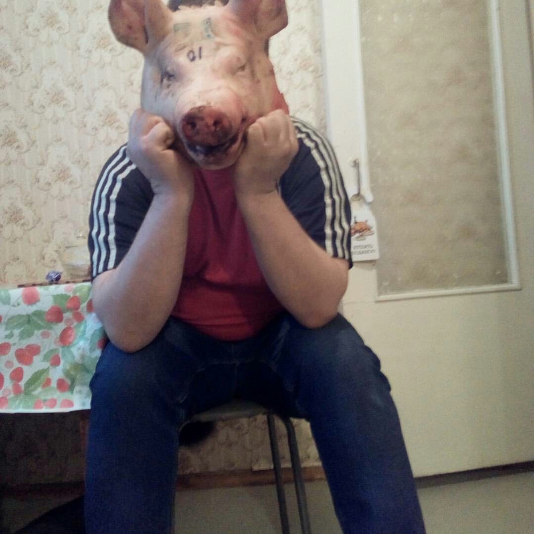 Pigs in the city!!! - My, Pig, The photo