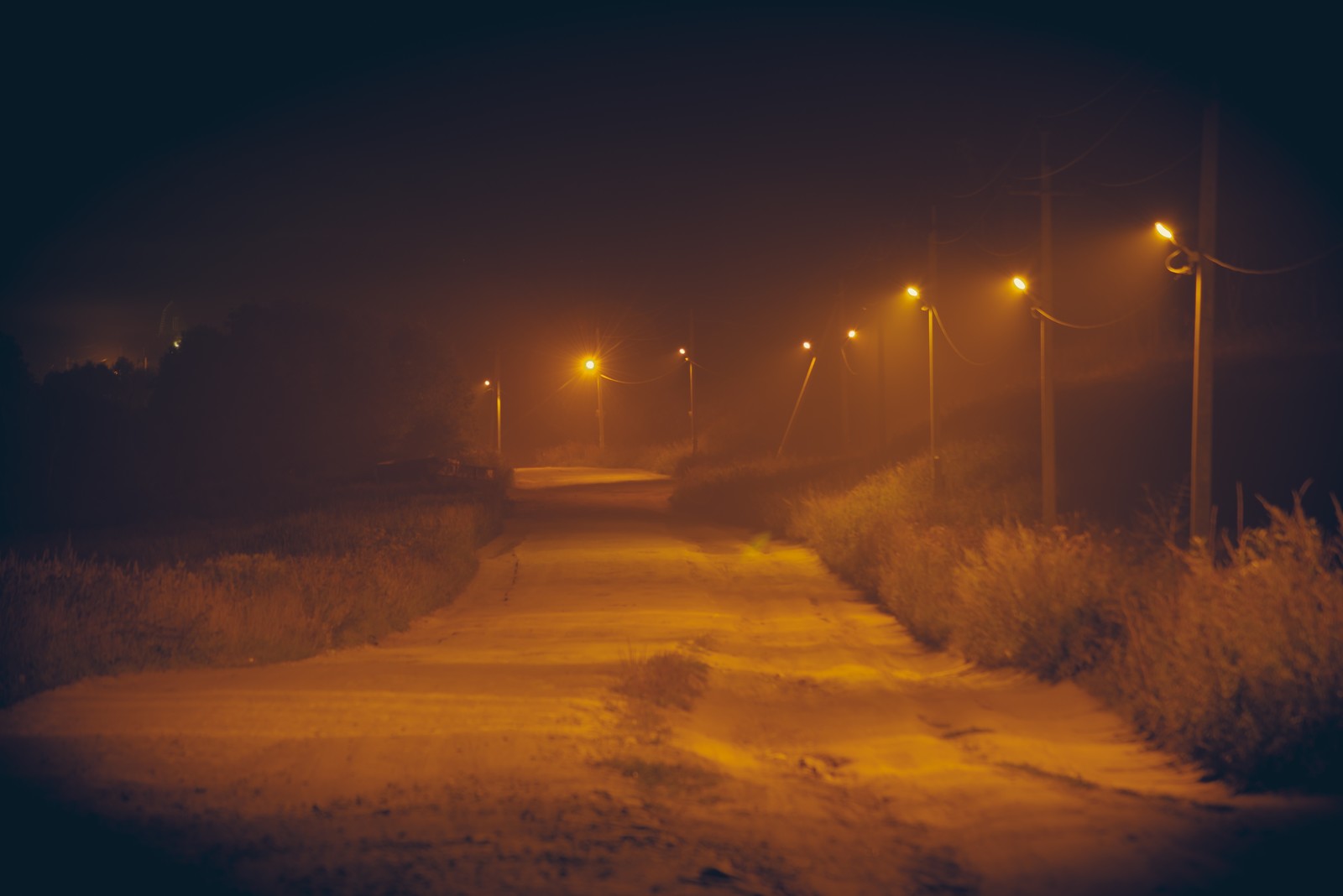 Fog instead of people at night - My, Fog, Night, Stars, Forest, The photo, Beginning photographer, Longpost