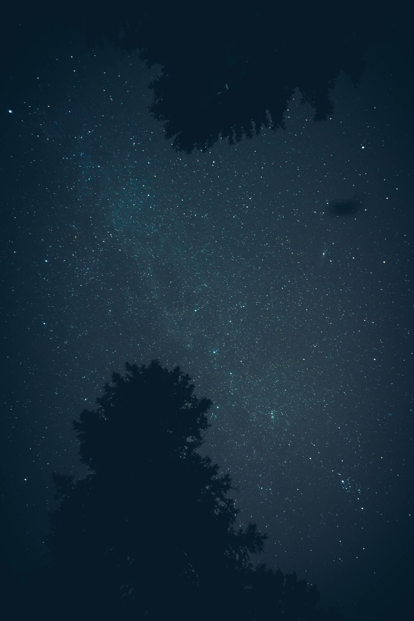 Fog instead of people at night - My, Fog, Night, Stars, Forest, The photo, Beginning photographer, Longpost