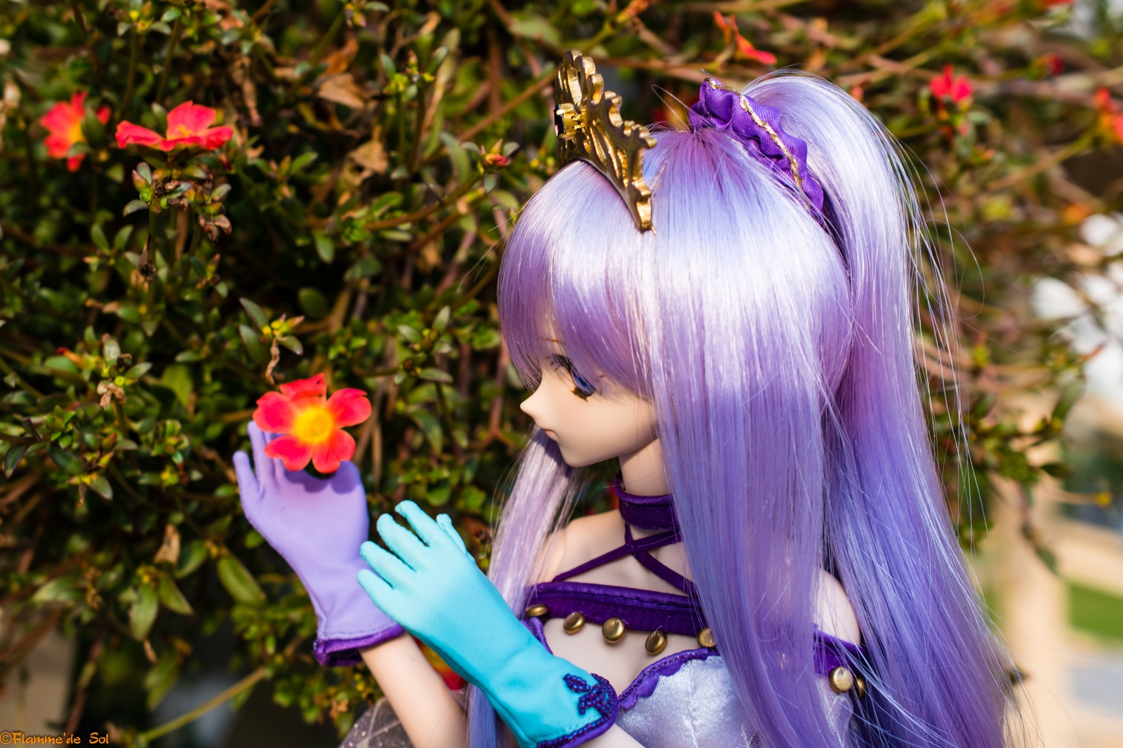 DollfieDream - set up Medea's scenery - My, Dollfiedream, Jointed doll, Medea Lily, Fate grand order, Anime, Hobby, The photo, Longpost