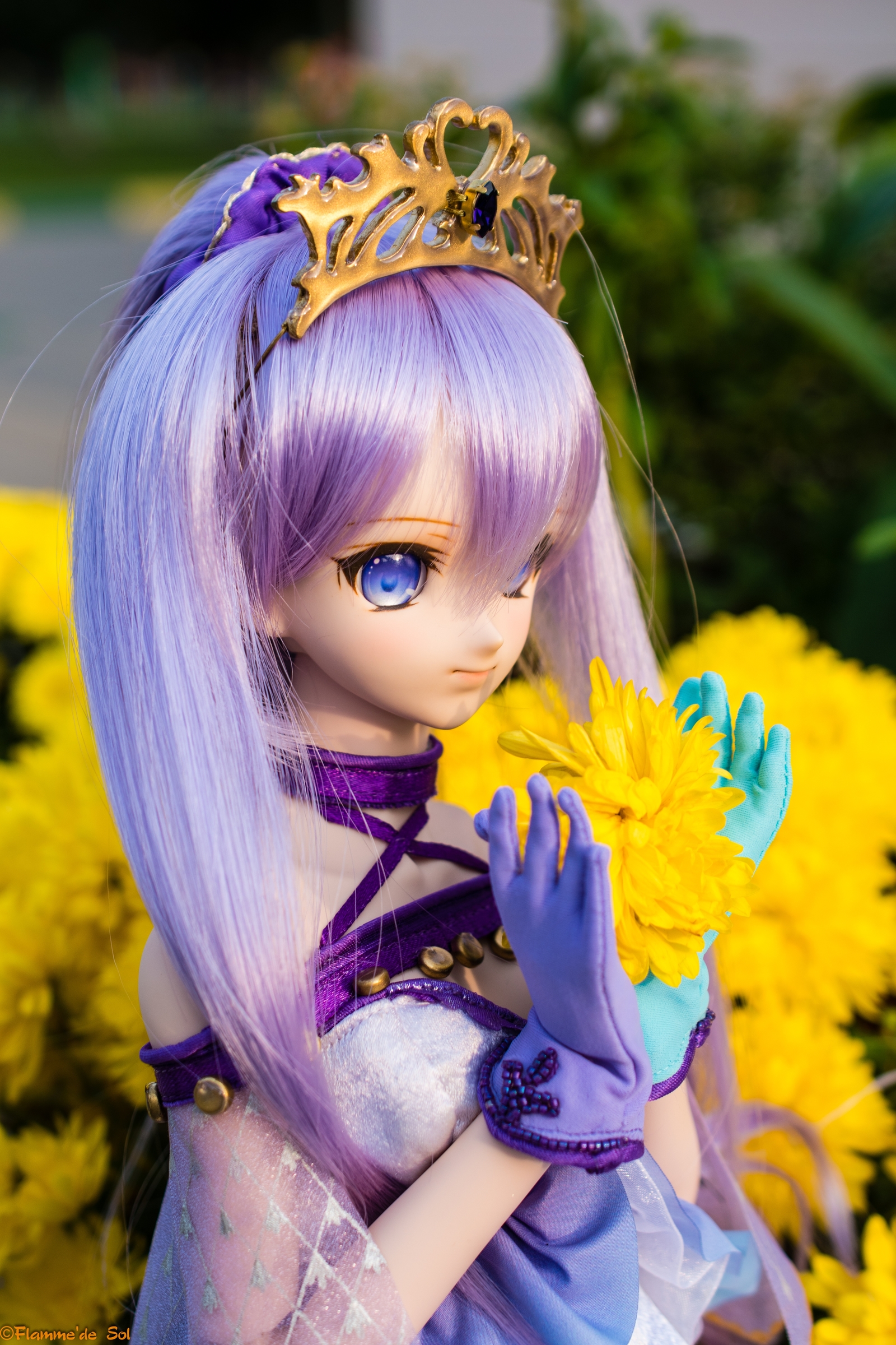 DollfieDream - set up Medea's scenery - My, Dollfiedream, Jointed doll, Medea Lily, Fate grand order, Anime, Hobby, The photo, Longpost