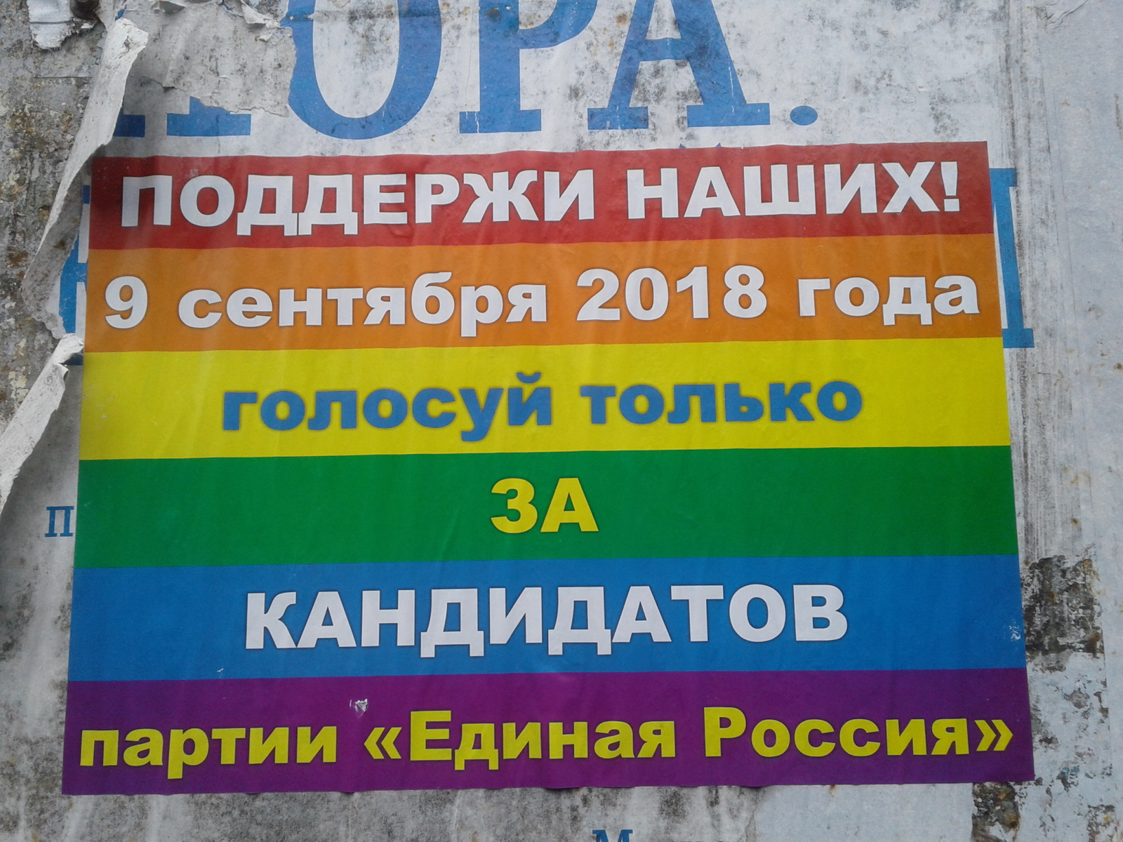 Elections, elections - candidates... - My, Elections, LGBT, Vladivostok, 