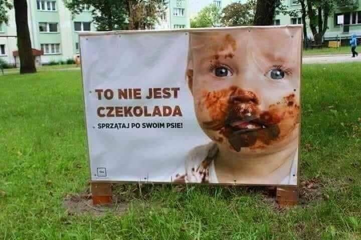 Social advertising in Poland - Social advertisement, Animals, Dog, Feces