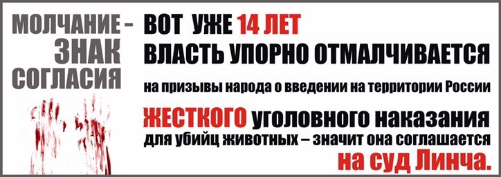 ЖИВОДЕРЫ ИЗ КУДРОВО - Живодеры, Живодерство, Кот, Приют, Внимание, Жестокость, Длиннопост