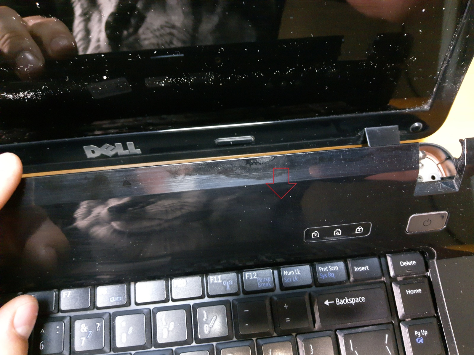 Купить Экран К Ноутбуку Dell Vostro 1015