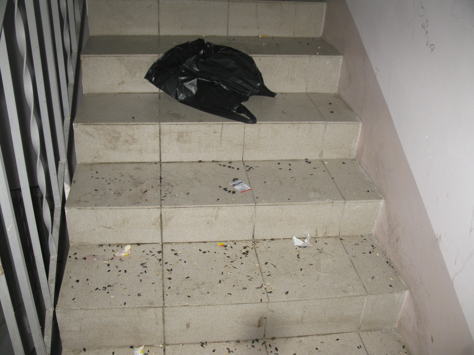 Shared property #3. - My, , Property, Entrance, Wall, Cleaning, Garbage, Vandalism, Longpost, Apartment buildings