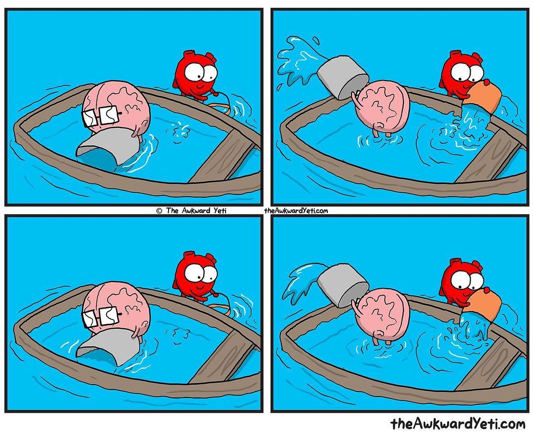 That's how we live - Heart, Brain, The cognitive dissonance, Awkward yeti