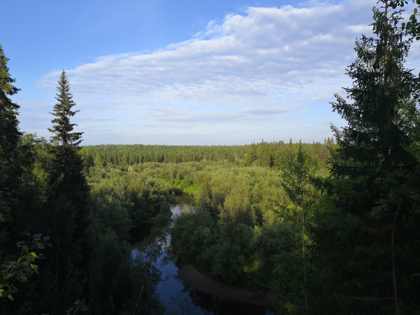 Walk in the woods - My, Usinsk, Forest, Nature, The photo, Komi, Longpost