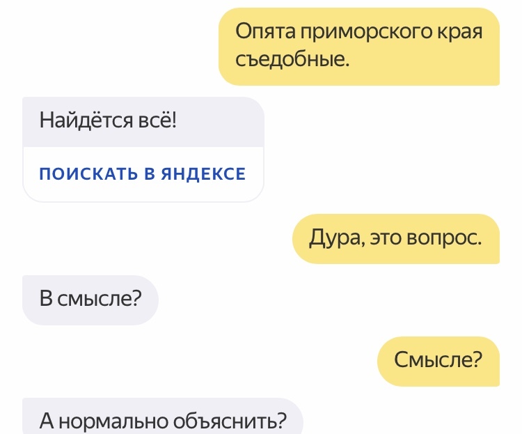 Как нужно ходить за грибами в 2018 - Моё, Грибы, Грибники, Лайфхак, Длиннопост, Яндекс Алиса