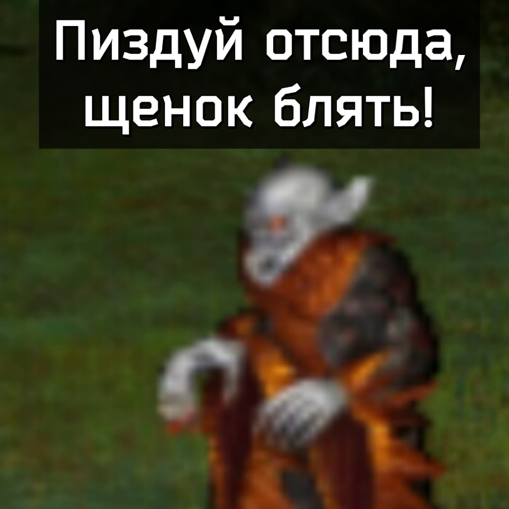 There is no scarier animal - CPID, Games, Computer games, Stalker, Герои меча и магии, HOMM III, Oldfags, Longpost