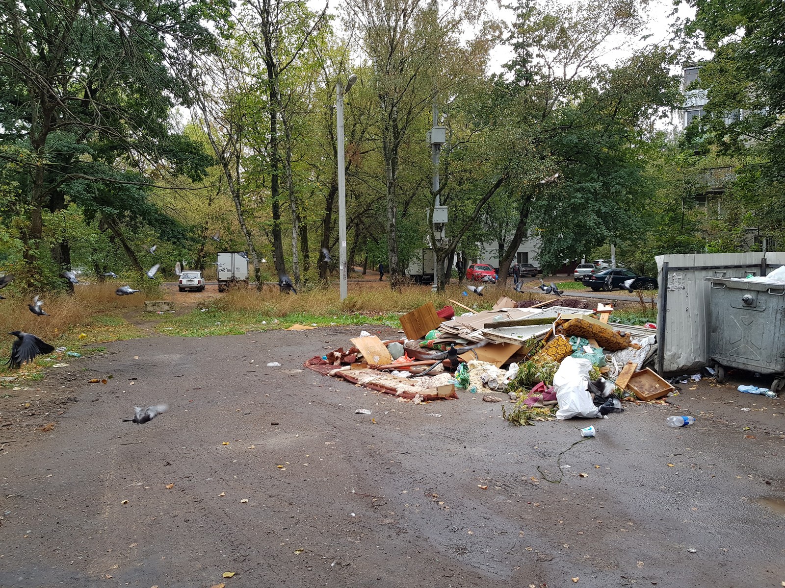 Pushkino near Moscow is buried in garbage - My, Garbage, Подмосковье, Pushkino, Problem, Disgusting, Inaction of the authorities, Trash heap, Longpost