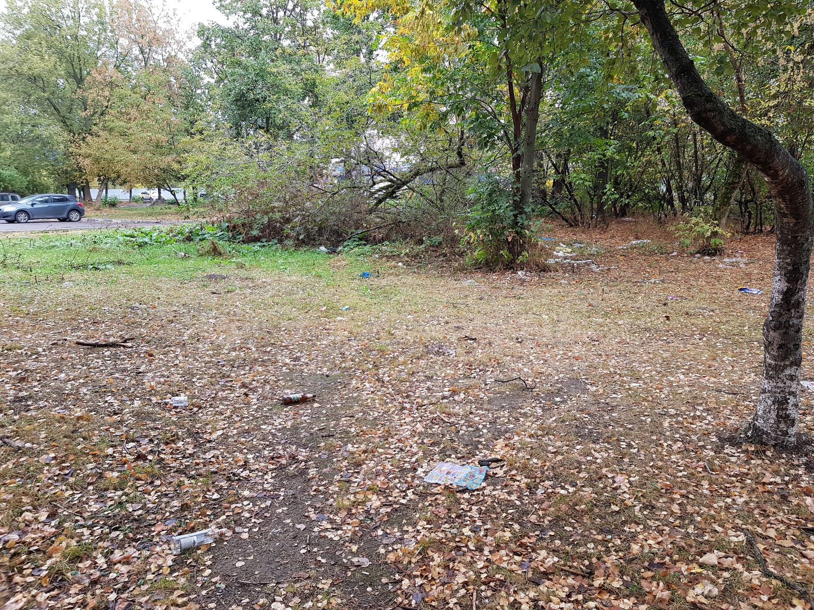 Pushkino near Moscow is buried in garbage - My, Garbage, Подмосковье, Pushkino, Problem, Disgusting, Inaction of the authorities, Trash heap, Longpost