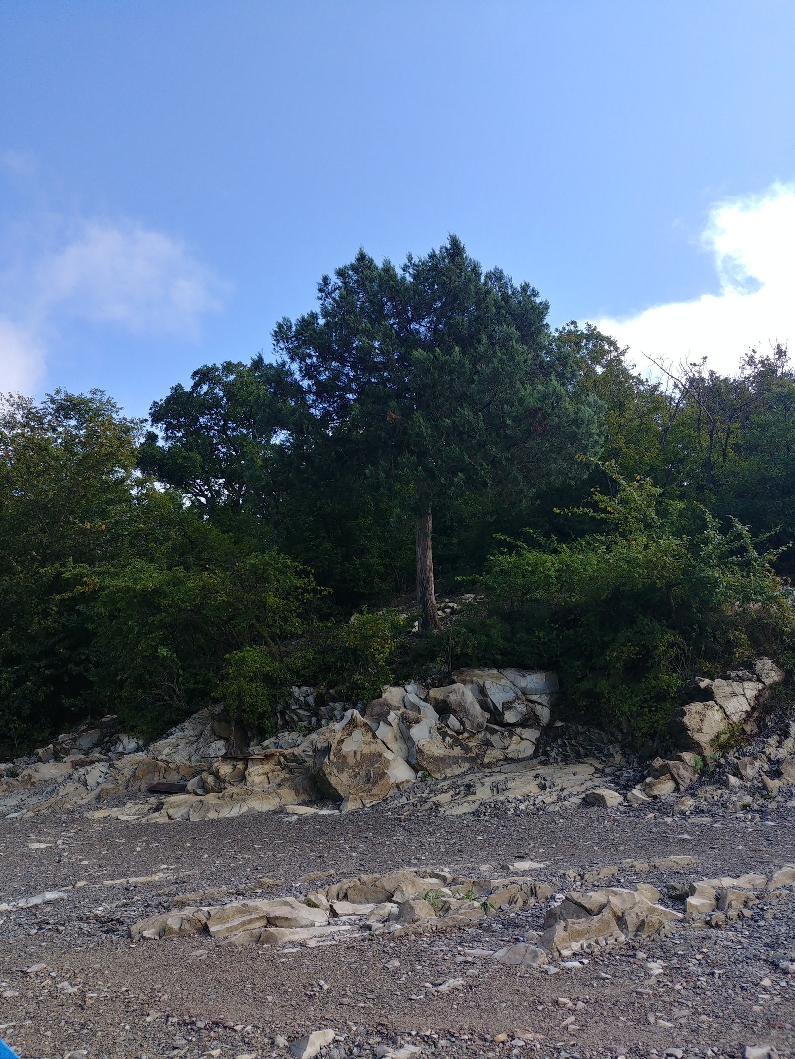 Lake Sukko - My, Sukko, Lake, Nature, Longpost