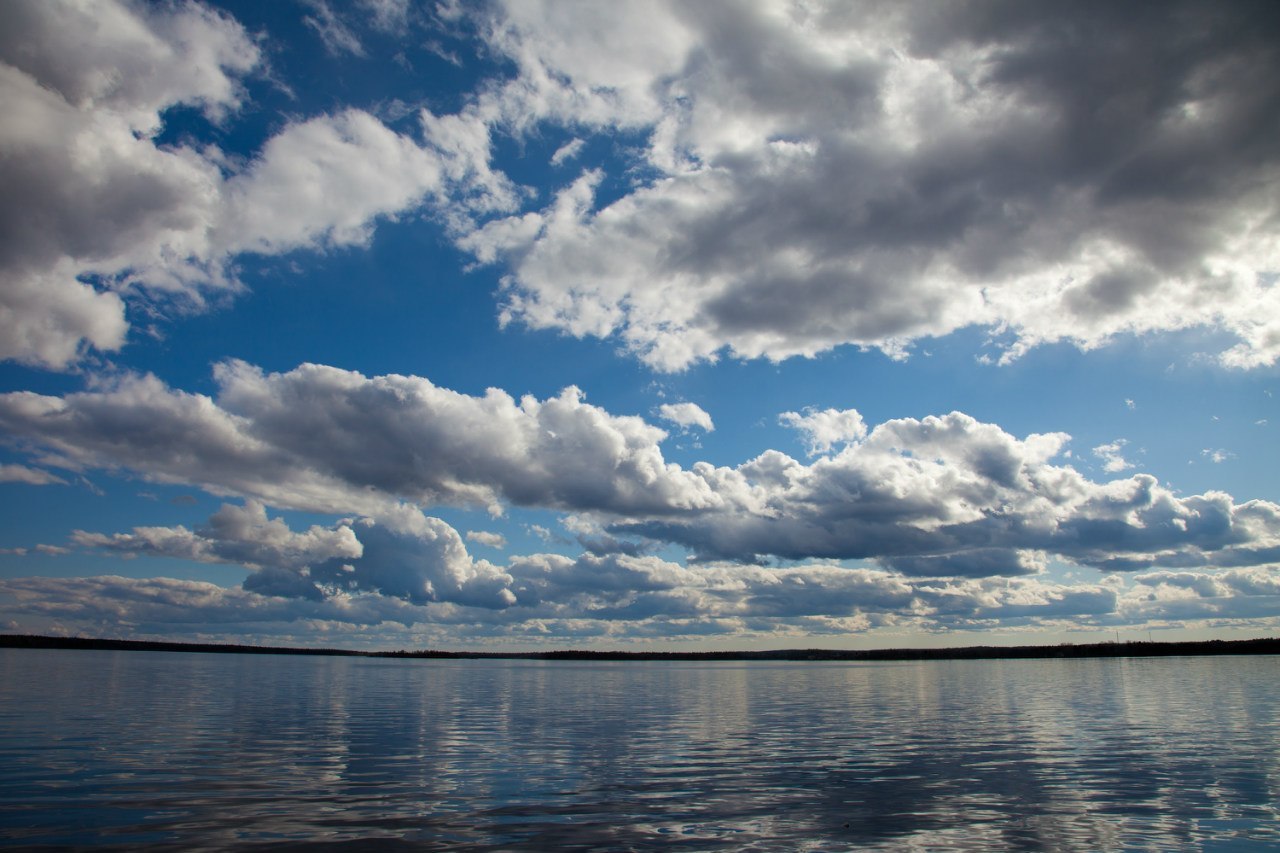 In the forests of Karelia (mini selection) - My, Карелия, Forest, Nature, Longpost