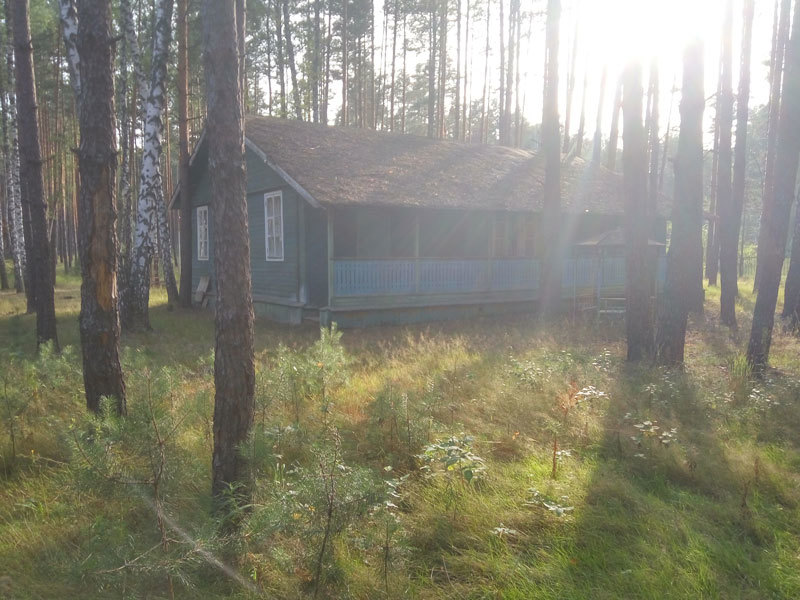 Closed pioneer camp Forest fairy tale (Ryazan region). - My, Pioneer camp, Abandoned, Longpost