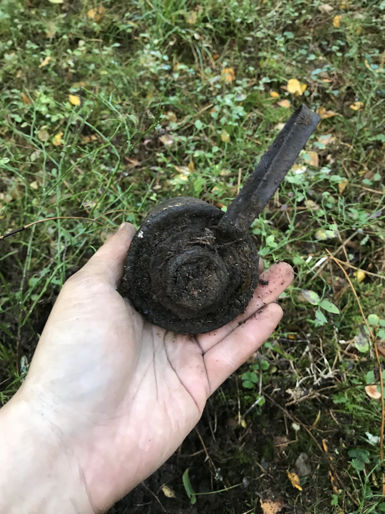 Unexpected finds at the Kotovo tract, Karelian Isthmus. - My, Excavations, The Second World War, Story, Numismatics, France, Coin, Finland, Archeology, Longpost