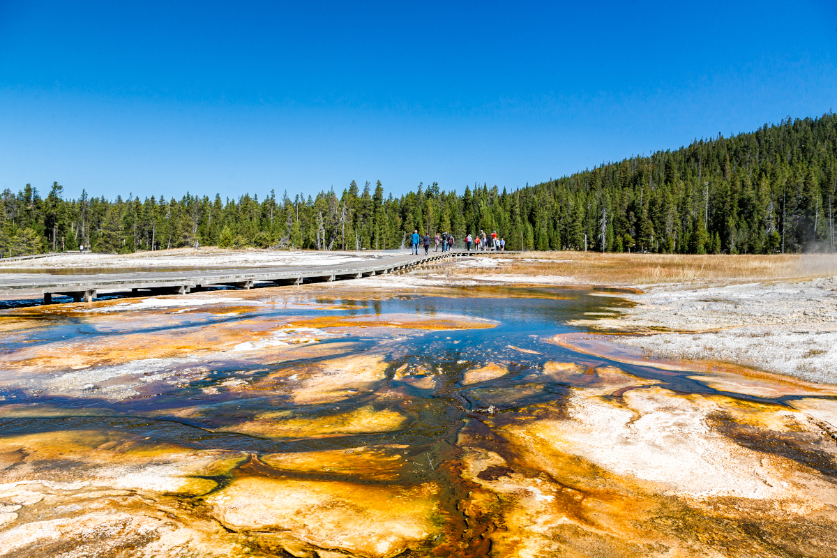 #1 National Park in the USA - Yellowstone - My, The photo, National park, Yellowstone, Canon 5D, Longpost